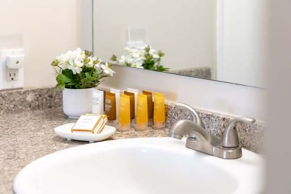 Starter supply in the bathroom