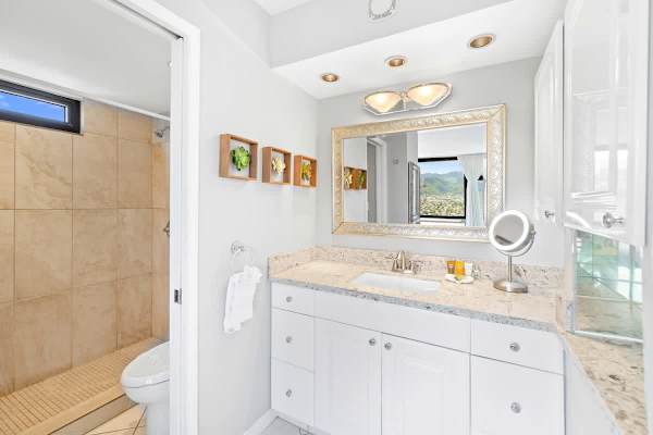 The bathroom offers a bright, spacious vanity with a granite countertop and ample storage, leading to a large walk-in shower.