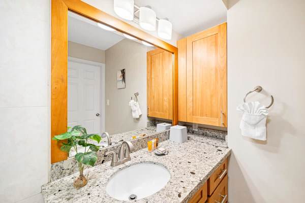 The bathroom has a vanity with cabinet!