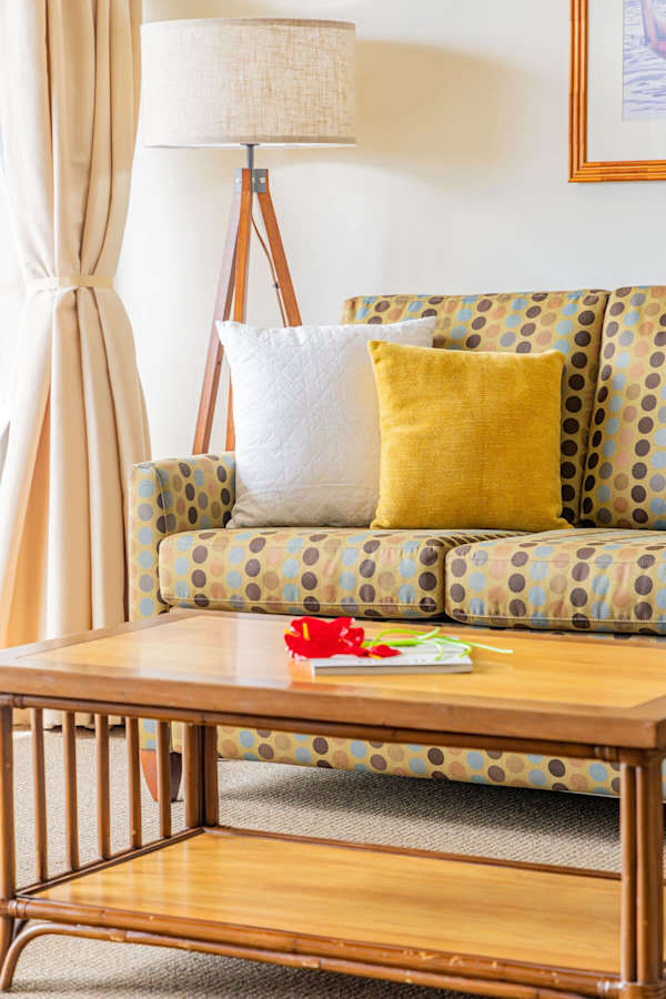 Pull-out sleeper sofa in the living room