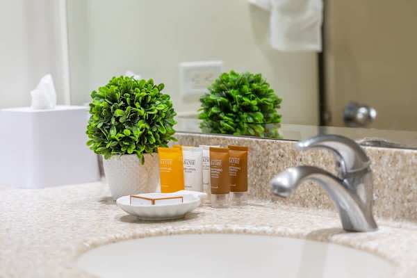 Bathroom sink with vanity, and startup supplies