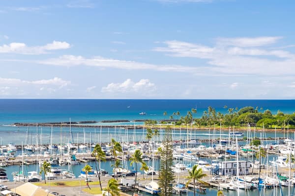 Beautiful blue ocean view extending to the horizon, overlooking a bustling marina filled with docked boats and a bright blue sky with scattered white clouds.