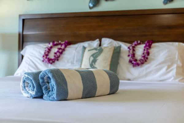 Island living - lanai, pool & beach essentials