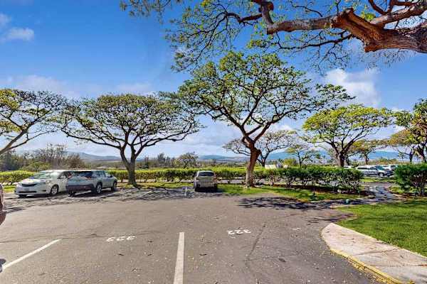 On-Site Guest Parking Lot Surrounded by Shade Trees & Mountain Backdrop