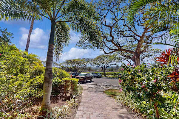 Paved Garden Pathway Framed by Palms & Tropical Flora Leading to Parking