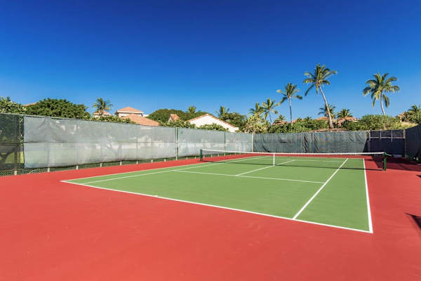 Sunlit Tennis Court Framed by Palms