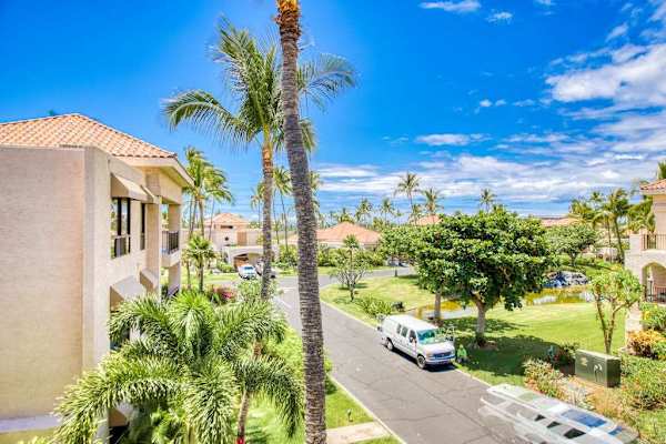 Resort Views Surrounded By Lush Palms