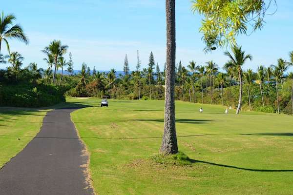 Scenic Walking Paths Through Tropical Beauty