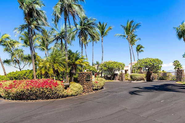 Palm-lined entrance to the resort