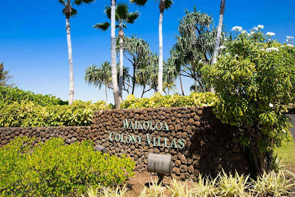 Resort Entrance Sign & Tropical Landscaping