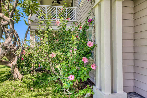 Tropical garden entrance adds colorful landscaping beside the resort home