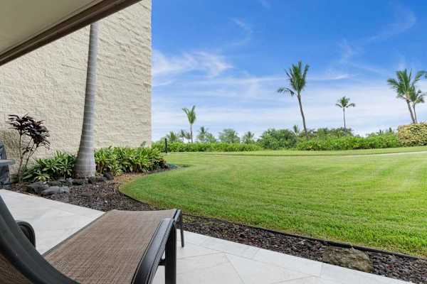Expansive Manicured Lawn with Tropical Palm Trees & Bright Blue Sky
