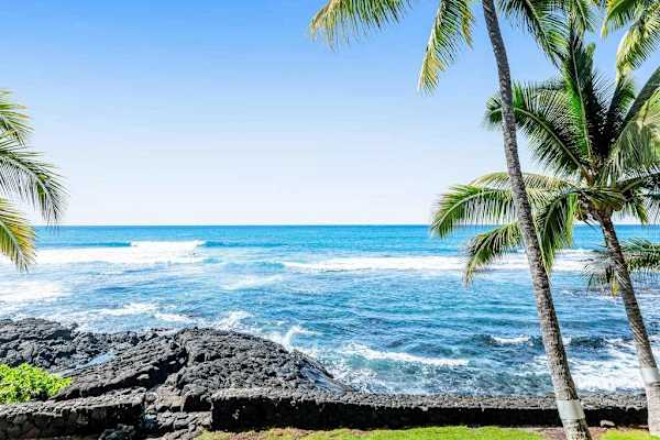 Oceanfront Living at Its Finest