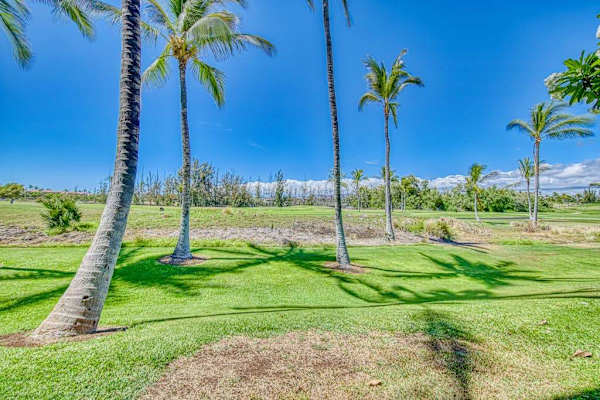 Expansive lawn with tropical views
