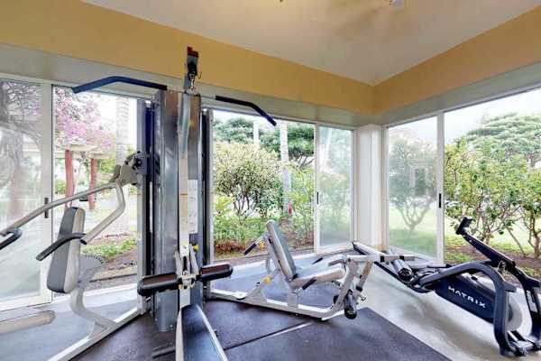 Bright gym with garden views