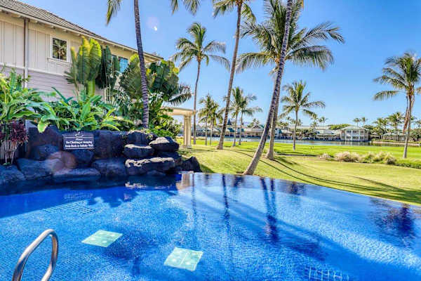 Lounge poolside beneath the palm trees