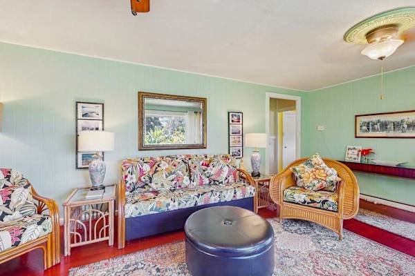 Cozy Living Room With Vintage Charm