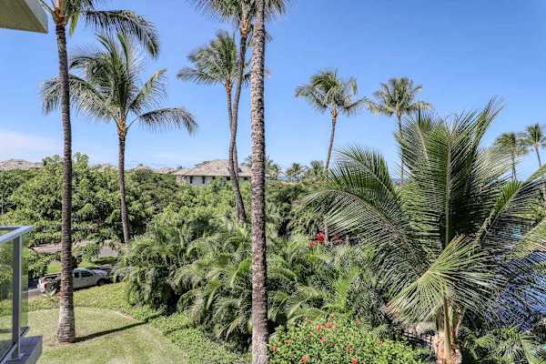 Tropical Views From Every Angle