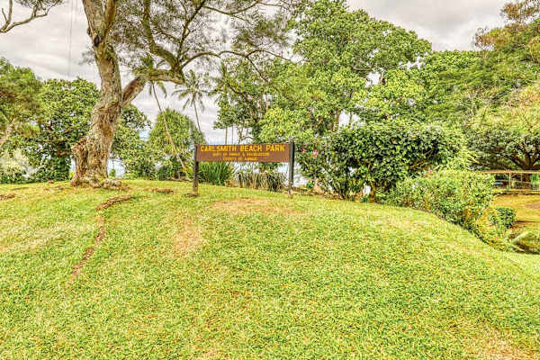 Spacious lawn surrounded by tropical landscaping