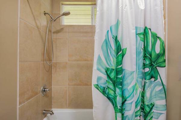 Tiled Shower & Tub with Adjustable Wand