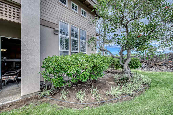 Lush tropical landscaping surrounds the home