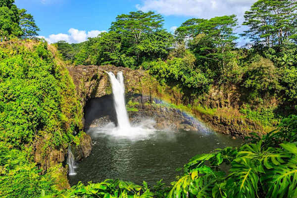 Hidden Waterfall In Tropical Paradise