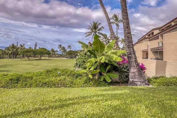 ​A peaceful view of the building surrounded by manicured lawns and swaying palms