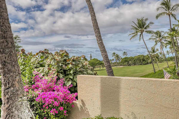 A picturesque backdrop of lush greenery and majestic palms right outside