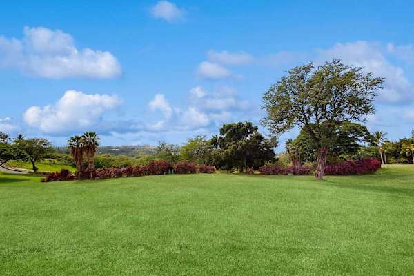 ​An expansive, beautifully manicured green lawn perfect for relaxing outdoors or enjoying the sunshine