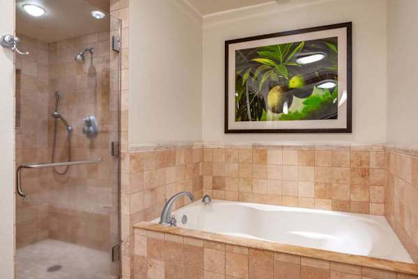 Bathroom with a soaking tub and walk-in shower