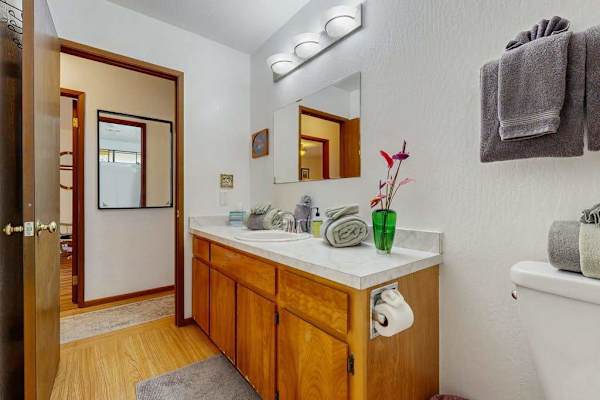 Guest Bathroom View Showing Vanity Counter, Toilet & Hallway Doorway