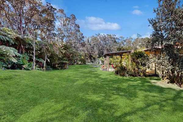 Expansive Lush Green Lawn Surrounded by Tropical Foliage and Mature Trees