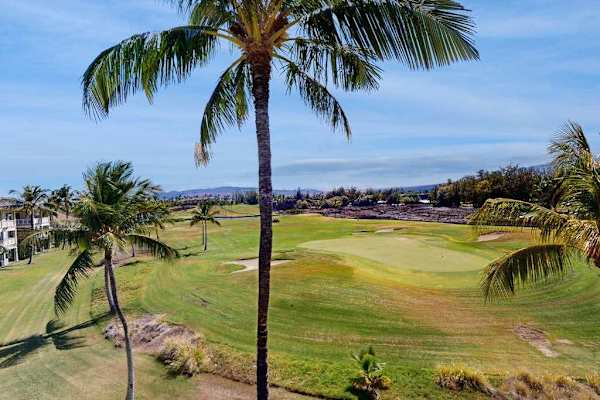 Scenic Golf Course Views with Ocean Horizon & Palm Trees