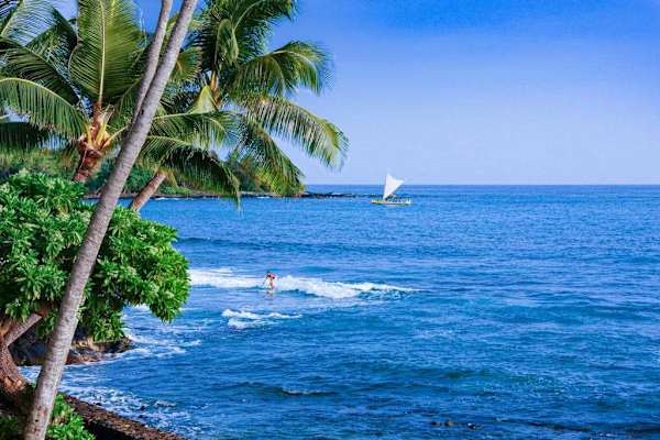 Whimsical Coastal Breezes Dancing Through Pristine Palm Trees