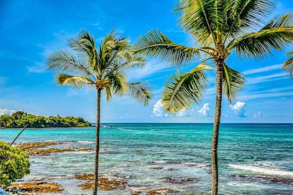 Crystal Clear Hawaiian Waters Framed By Majestic Palm Trees