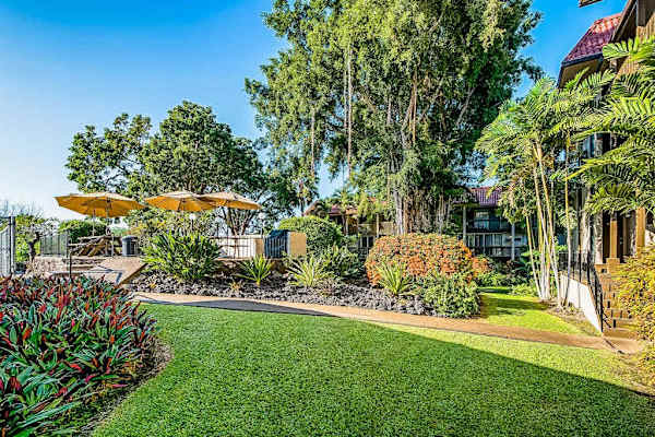 Lush Tropical Grounds to Explore & Enjoy
