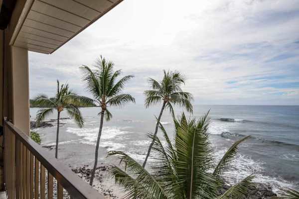 Private lanai view through the palm trees, overlooking the ocean.