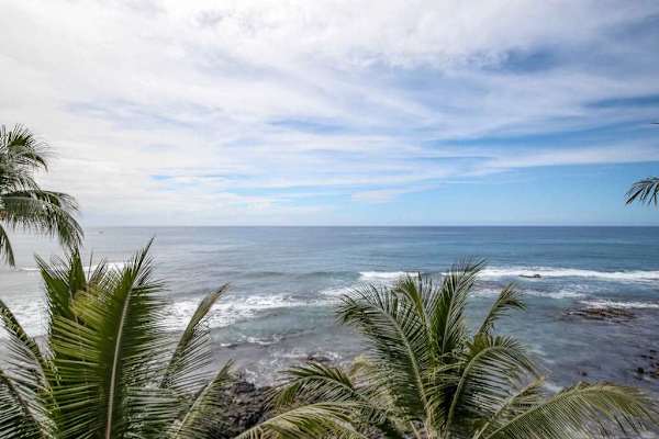 Ocean view through swaying palm trees near the property.