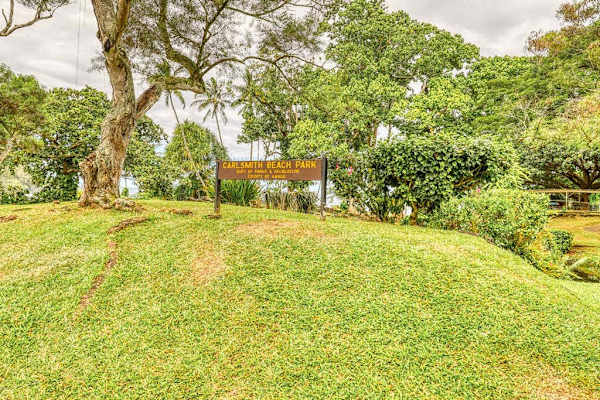Expansive Lawn With Tropical Landscape