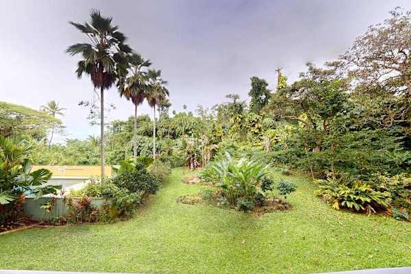Lush Tropical Grounds To Explore
