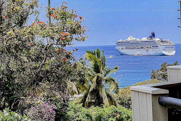 Ocean Views With Passing Cruise Ships