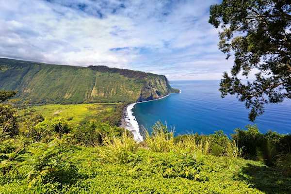 Hawaii's lush coastline