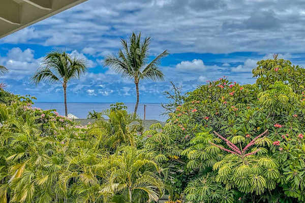 Stunning tropical ocean and lush mountain views!