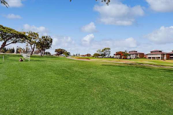 Expansive Lush Green Space To Explore