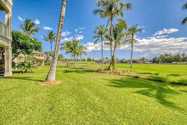 Palm-Lined Greens With Ocean Backdrop