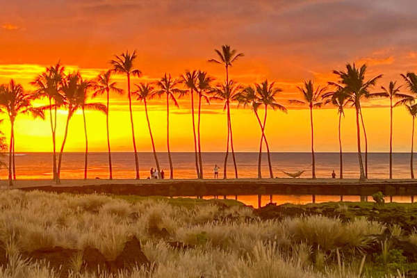 Golden Hawaiian Sunset Through The Palms