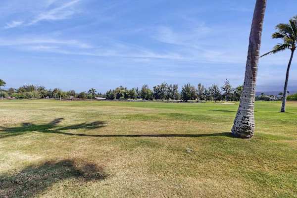 Expansive Oceanfront Lawn To Explore