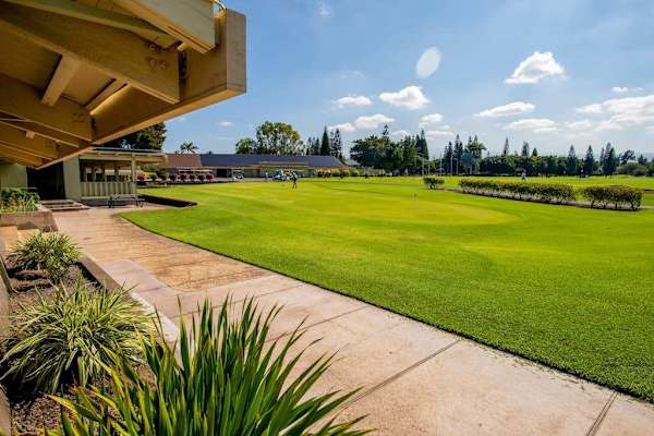 Expansive Green Space Perfect For Relaxation