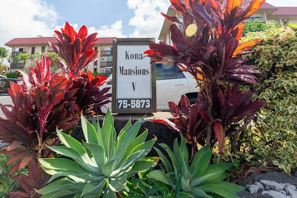 Property Entrance Sign with Tropical Landscaping and Foliage