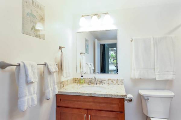 Vanity Sink, Vanity Mirror, Toilet & Bath Towels